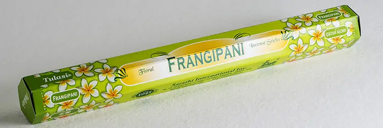 Firangipani