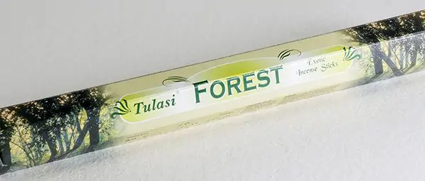 Forest