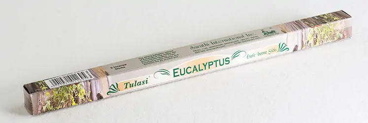 Eucalyptus